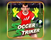 Soccer Striker