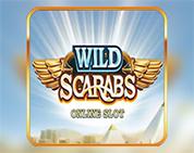 Wild Scarabs